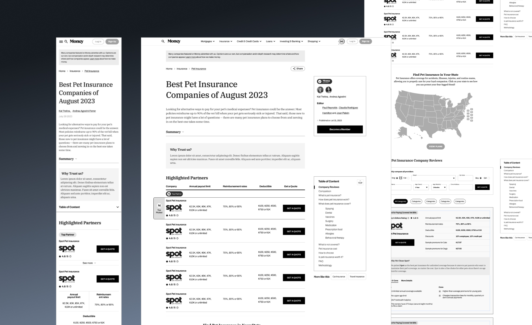 Mid-fidelity page variations used in testing